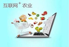 武汉大学农村互联网农业干部专题培训班