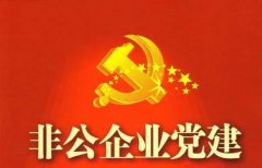 武汉大学非公企业党建工作培训班