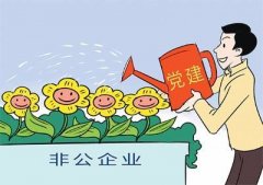武汉大学2020年非公企业党建工作创新专题培训班_课程_方案_计划