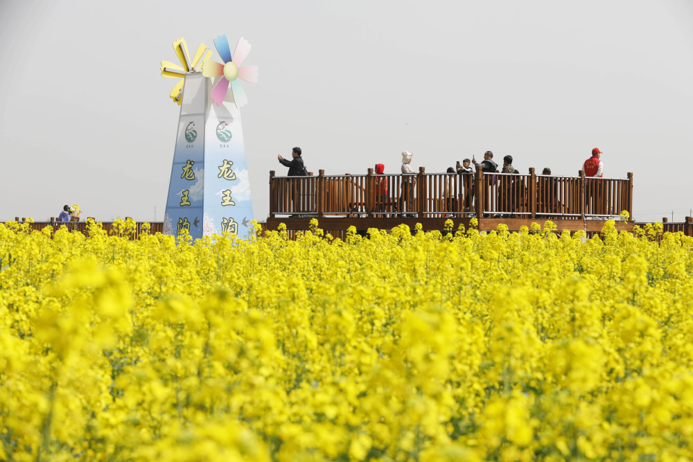 【乡村振兴】张红宇：中国特色乡村产业发展的道路选择 